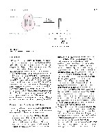 Bhagavan Medical Biochemistry 2001, page 612